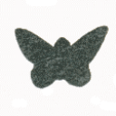 Butterfly sailboat — mainsail insignia